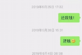 澧县为什么选择专业追讨公司来处理您的债务纠纷？